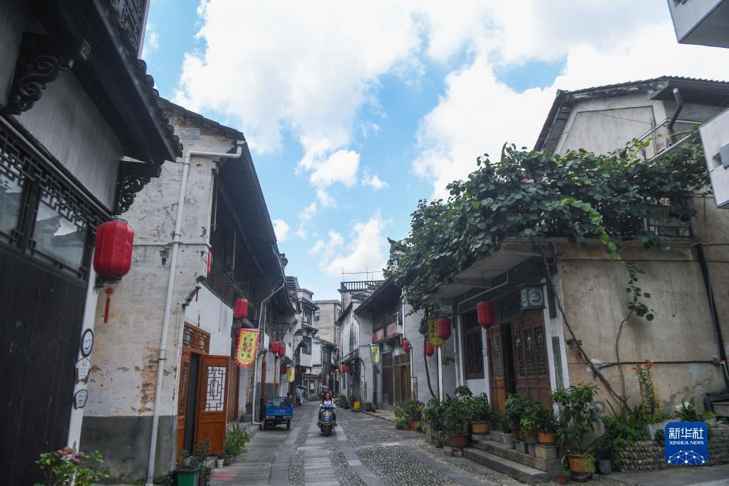 大家峰度|李白玲:从西北花鸟到西南花鸟,一个女画家的南北两极